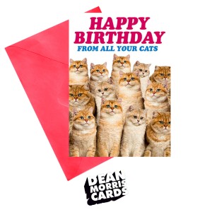 Поздравителна картичка  "Честит рожден ден от всички твои котки"